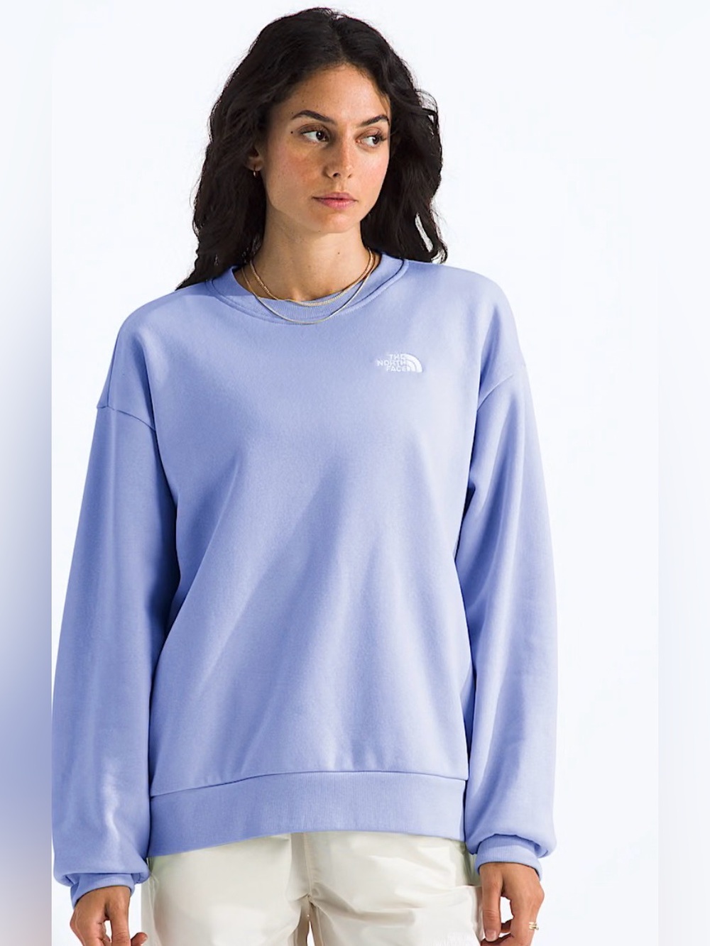 The North Face Women's Evolution Simple Dome Oversized Crew XS NWT